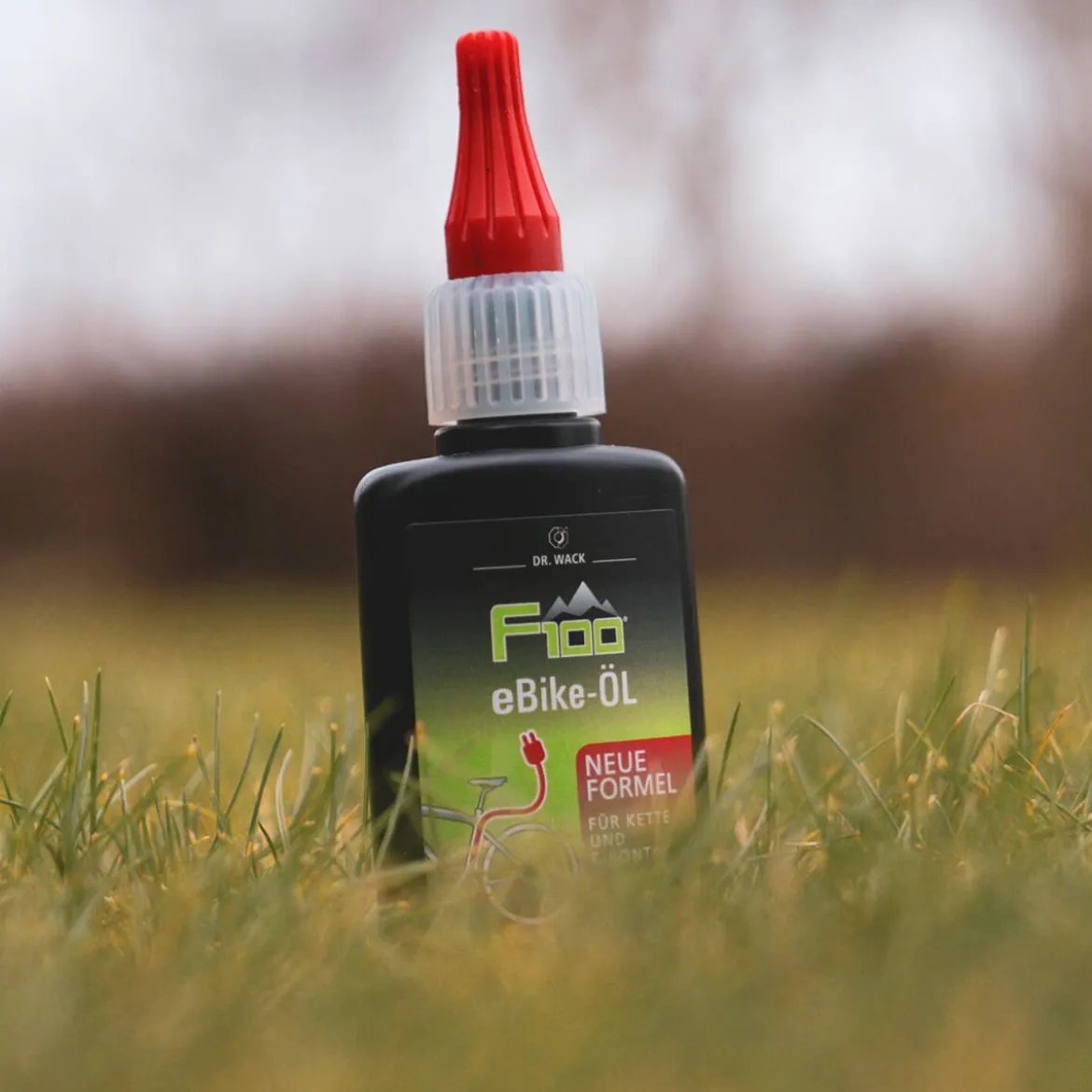 Dr. Wack F100 eBike Öl Spray 100ml
